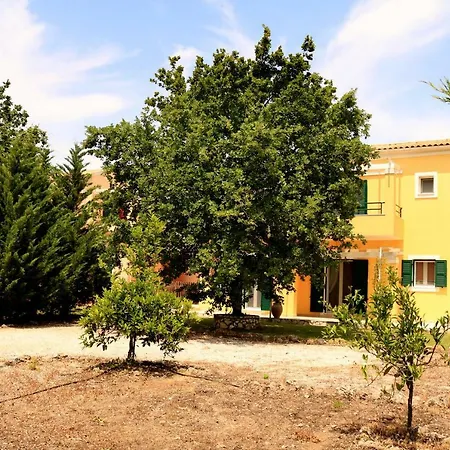 Vila - Lemon - Orange *